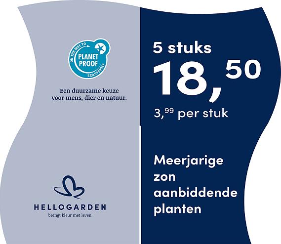 prijsmolen 2025 Nederlands - blauwe pot 3,99 per stuk - 5 stuks 18,50