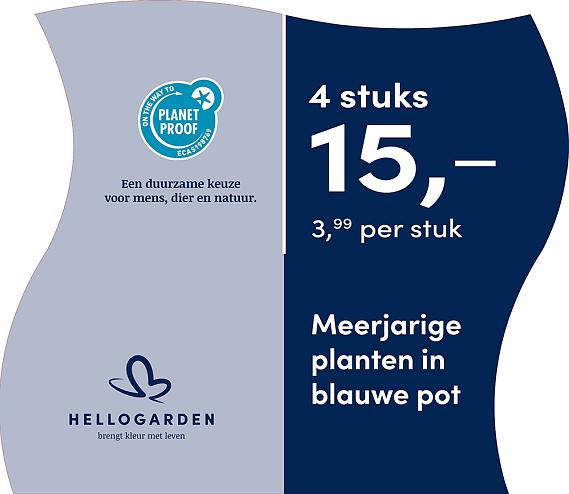 prijsmolen 2025 Nederlands - blauwe pot 3,99 per stuk - 4 stuks 15,-