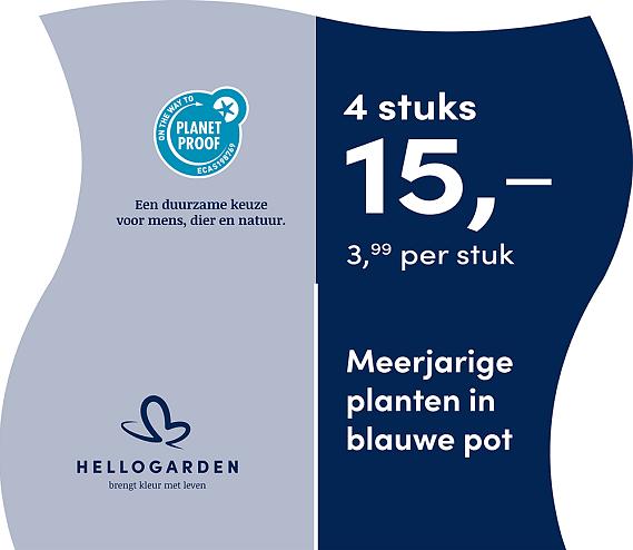 prijsmolen 2025 Nederlands - blauwe pot 3,99 per stuk - 4 stuks 15,-