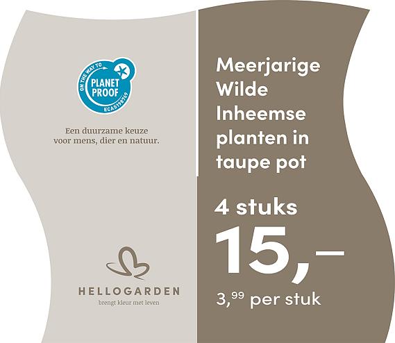 prijsmolen 2025 Nederlands - taupe pot 3,99 per stuk - 4 stuks 15,-