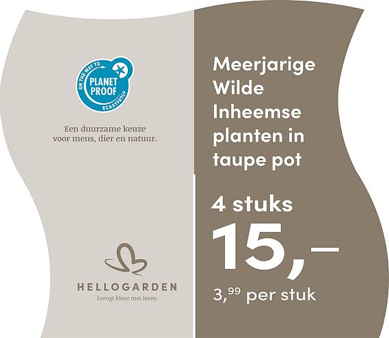 prijsmolen 2025 Nederlands - taupe pot 3,99 per stuk - 4 stuks 15,-