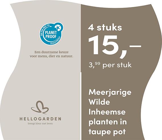 prijsmolen 2025 Nederlands - taupe pot 3,99 per stuk - 4 stuks 15,-