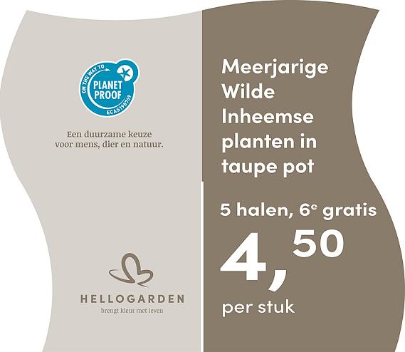 prijsmolen 2025 Nederlands - taupe pot 4,50 per stuk - 5 halen, 6e gratis