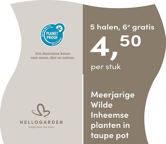 prijsmolen 2025 Nederlands - taupe pot 4,50 per stuk - 5 halen, 6e gratis