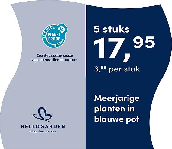 prijsmolen 2025 Nederlands - blauwe pot 3,99 per stuk - 5 stuks 17,95