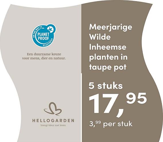 prijsmolen 2025 Nederlands - taupe pot 3,99 per stuk - 5 stuks 17,95