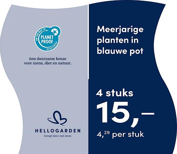 prijsmolen 2025 Nederlands - blauwe pot 4,29 per stuk - 4 stuks 15,-