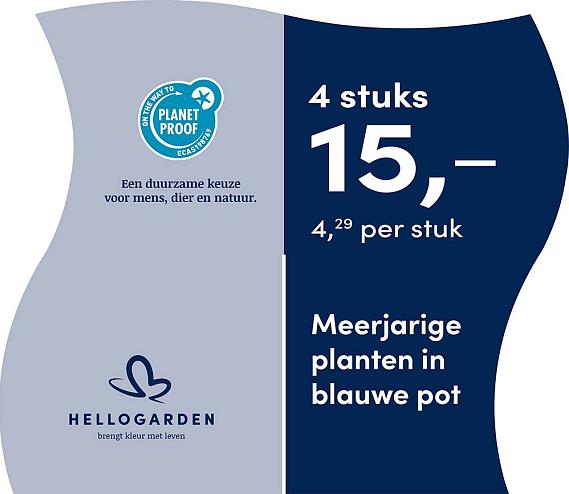 prijsmolen 2025 Nederlands - blauwe pot 4,29 per stuk - 4 stuks 15,-