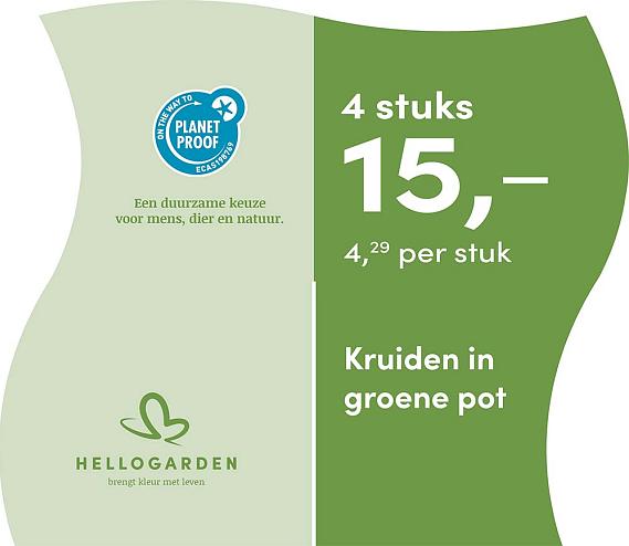 prijsmolen 2025 Nederlands - groene pot 4,29 per stuk - 4 stuks 15,-