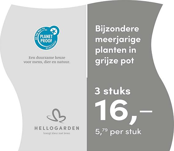 prijsmolen 2025 Nederlands - grijze pot 5,79 per stuk - 3 stuks 16,-