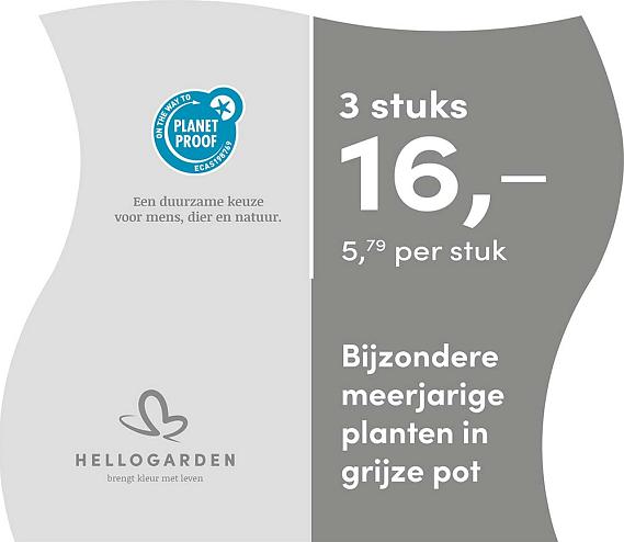 prijsmolen 2025 Nederlands - grijze pot 5,79 per stuk - 3 stuks 16,-