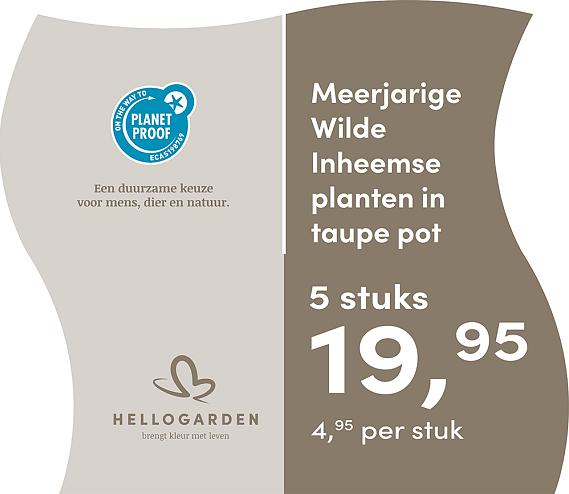 prijsmolen 2025 Nederlands - taupe pot 4,95 per stuk - 5 stuks 19,95