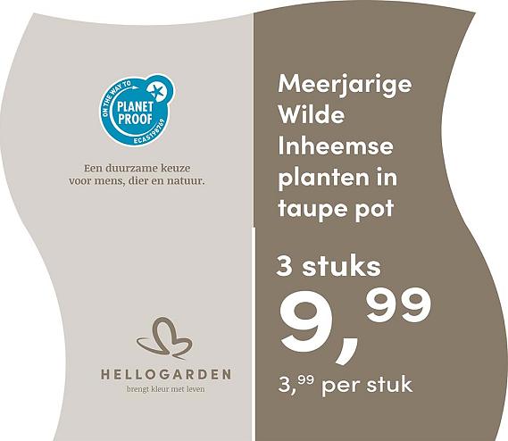 prijsmolen 2025 Nederlands - taupe pot 3,99 per stuk - 3 stuks 9,99