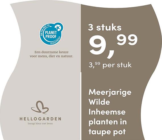 prijsmolen 2025 Nederlands - taupe pot 3,99 per stuk - 3 stuks 9,99