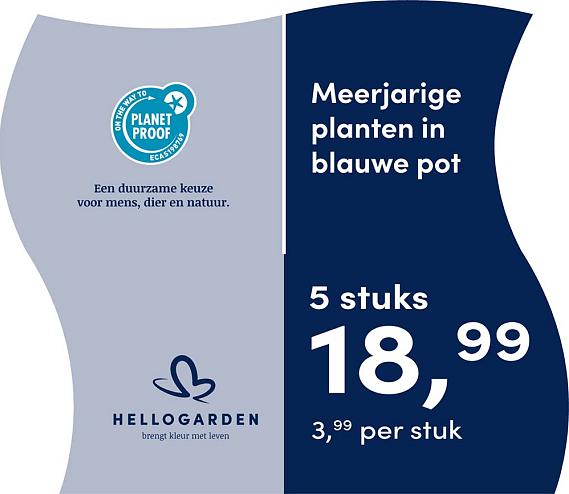 prijsmolen 2025 Nederlands - blauwe pot 3,99 per stuk - 5 stuks 18,99