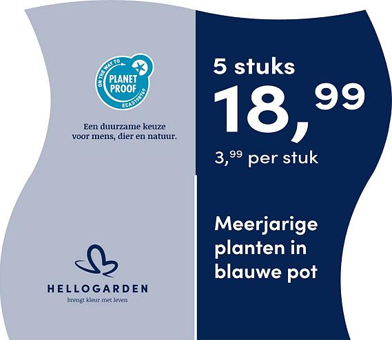 prijsmolen 2025 Nederlands - blauwe pot 3,99 per stuk - 5 stuks 18,99