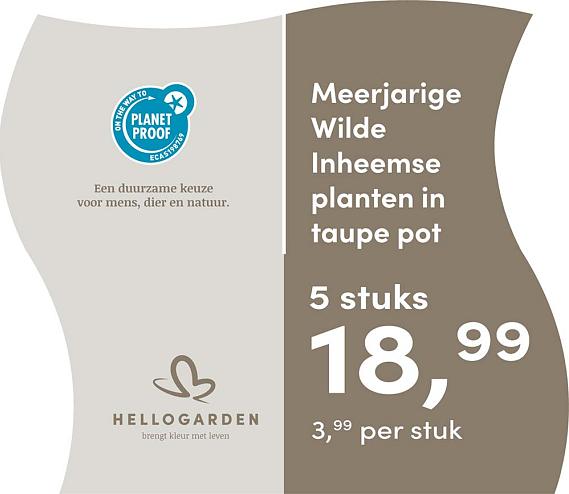 prijsmolen 2025 Nederlands - taupe pot 3,99 per stuk - 5 stuks 18,99