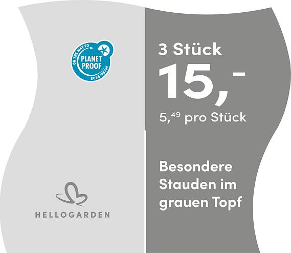 prijsmolen 2025 Duits - grauen Topf 5,49 pro Stück - 3 Stück 15,-