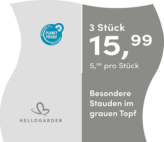 prijsmolen 2025 Duits - grauen Topf 5,99 pro St&uuml;ck - 3 St&uuml;ck 15,99