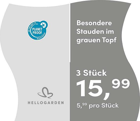prijsmolen 2025 Duits - grauen Topf 5,99 pro St&uuml;ck - 3 St&uuml;ck 15,99