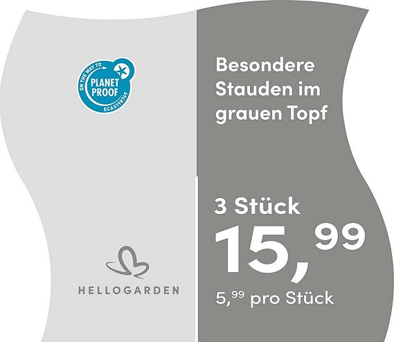prijsmolen 2025 Duits - grauen Topf 5,99 pro St&uuml;ck - 3 St&uuml;ck 15,99