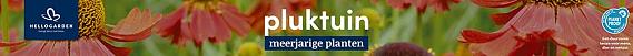 tafelbanner 2025 Nederlands - pluktuin