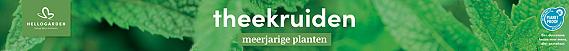 tafelbanner 2025 Nederlands - theekruiden