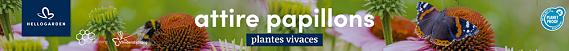 tafelbanner 2025 Frans - attire papillons