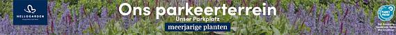 tafelbanner 2025 Nederlands-Duits - Ons parkeerterrein | Unser Parkplatz (TC Leurs)
