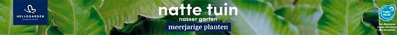 tafelbanner 2025 Nederlands-Duits - natte tuin | nasser garten