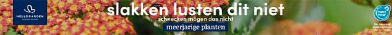 tafelbanner 2025 Nederlands-Duits - slakken lusten dit niet | schnecken mögen das nicht