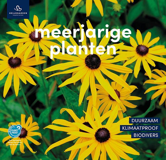 zeildoek 2025 Nederlands - meerjarige planten