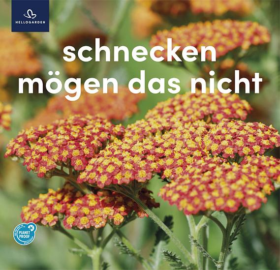 zeildoek 2025 Duits - schnecken mögen das nicht