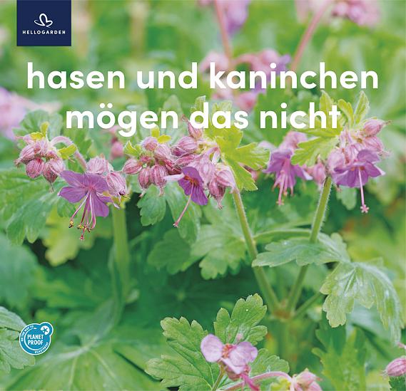 zeildoek 2025 Duits - hasen und kaninchen mögen das nicht