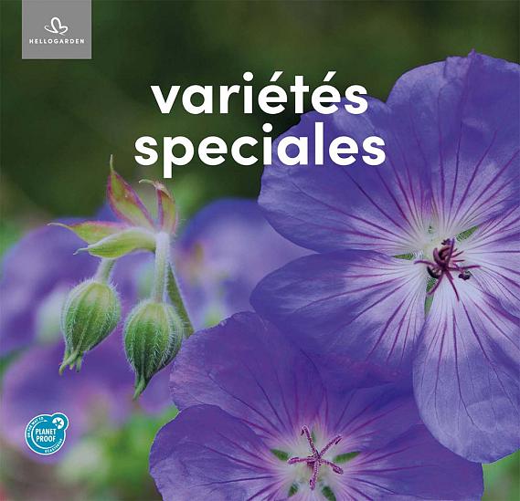 zeildoek 2025 Frans - variétés speciales