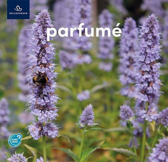 zeildoek 2025 Frans - parfumé