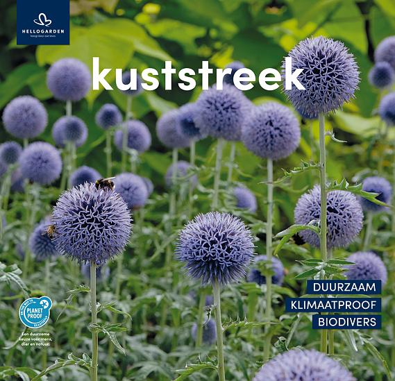 zeildoek 2025 Nederlands - kuststreek