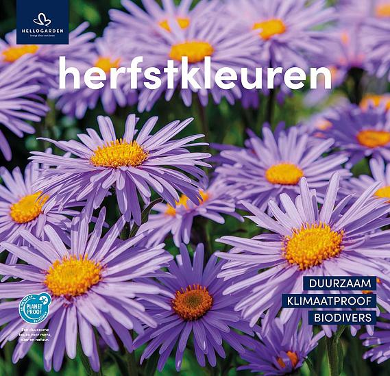 zeildoek 2025 Nederlands - herfstkleuren