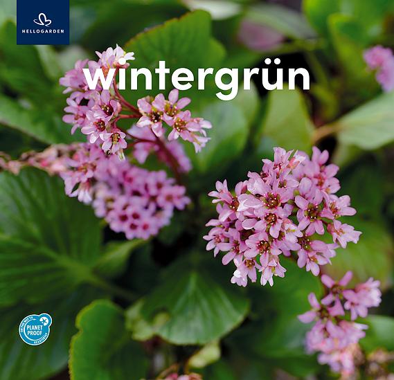 zeildoek 2025 Duits - wintergrün