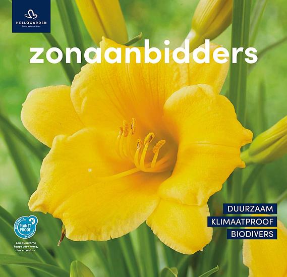 zeildoek 2025 Nederlands - zonaanbidders