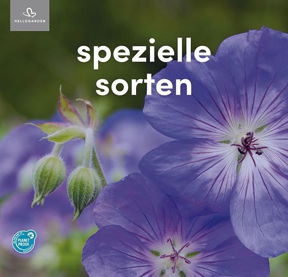 zeildoek 2025 Duits - spezielle sorten