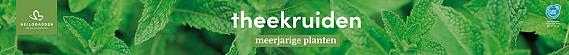 tafelbanner 2025 Nederlands - theekruiden
