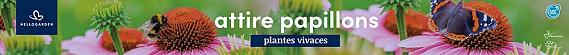 tafelbanner 2025 Frans - attire papillons