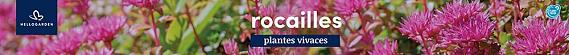 tafelbanner 2025 Frans - rocailles
