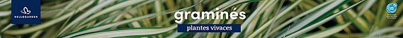 tafelbanner 2025 Frans - graminés
