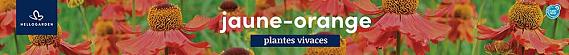 tafelbanner 2025 Frans - jaune-orange