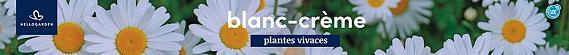 tafelbanner 2025 Frans - blanc-crème