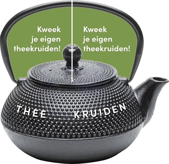 carrousel 2025 Nederlands - groene pot 4,50 per stuk - 5 stuks 19,50
