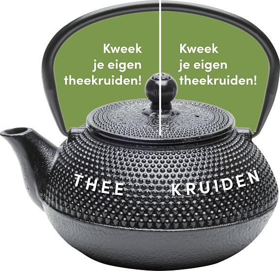 carrousel 2025 Nederlands - groene pot 4,50 per stuk - 5 stuks 19,50
