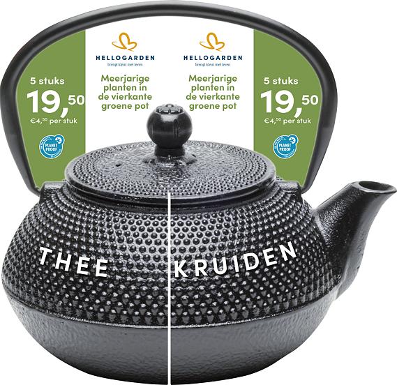 carrousel 2025 Nederlands - groene pot 4,50 per stuk - 5 stuks 19,50